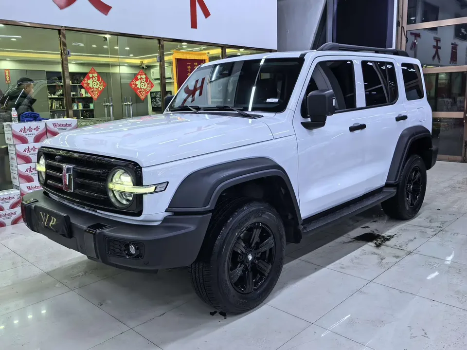 Tank 300 Tank 300 2021 Off-road version 2.0T Conqueror 2022 — photo 1, buy with delivery to Moscow