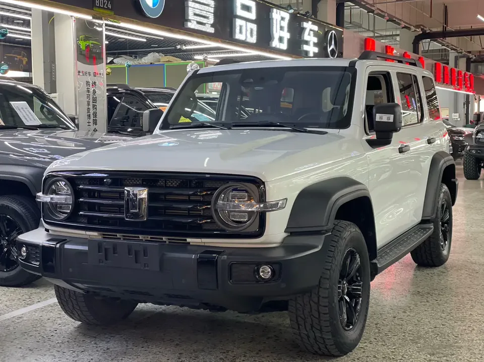 Tank 300 Tank 300 2023 Off-road version 2.0T Conqueror 2023 — photo 1, buy with delivery to Moscow
