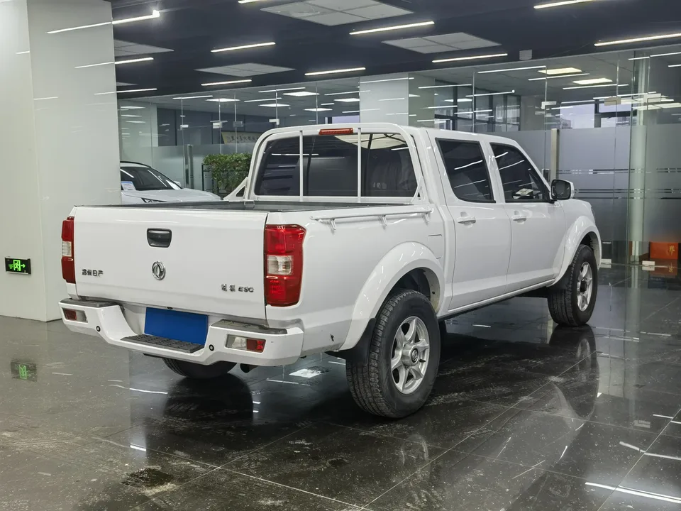 Dongfeng Ruiqi 2024