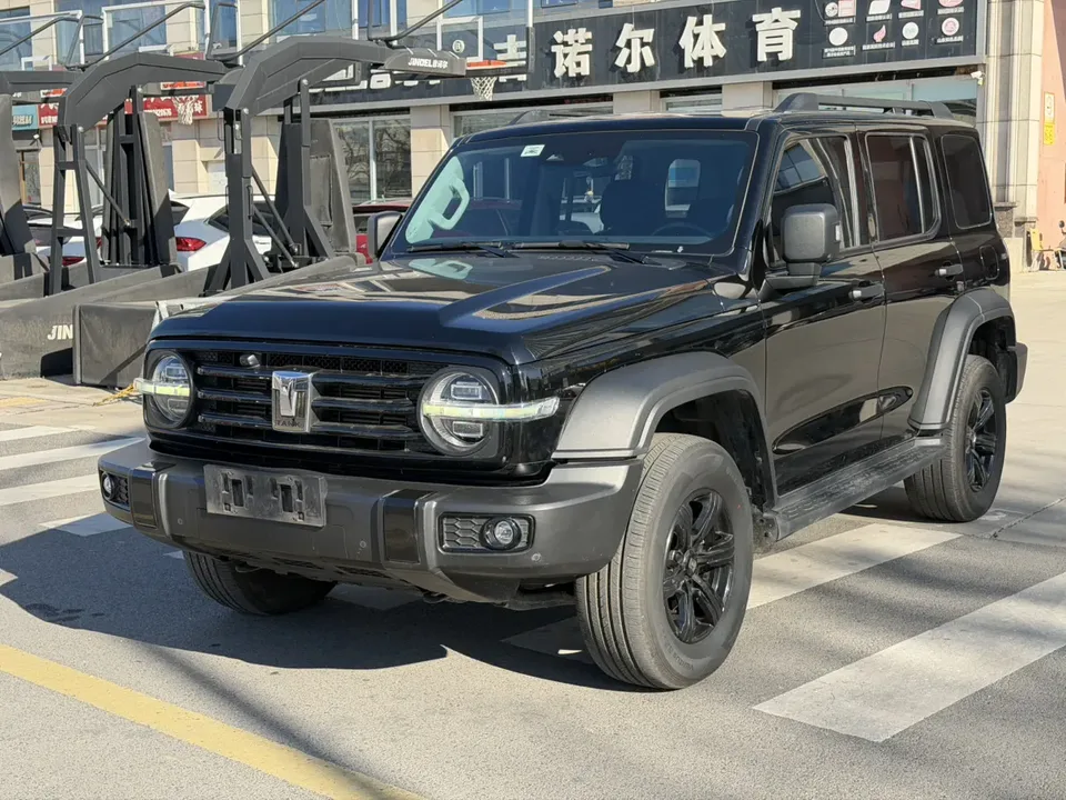 Tank 300 Tank 300 2023 Off-road version 2.0T Conqueror 2022 — photo 1, buy with delivery to Moscow