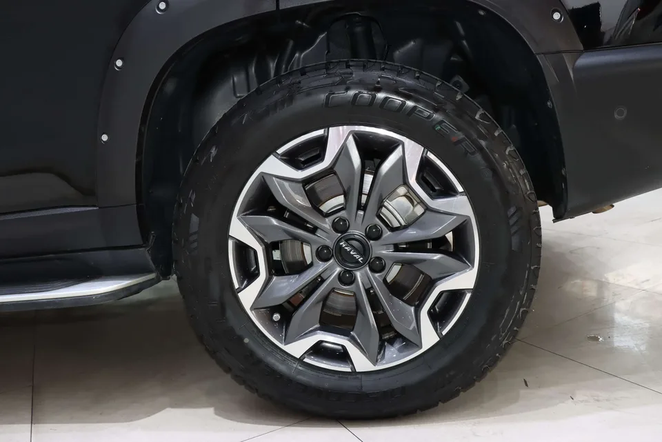 Haval Dargo 2.0T 4WD Chinese Pastoral Dog Hunting Edition 2023 — миниатюра 2