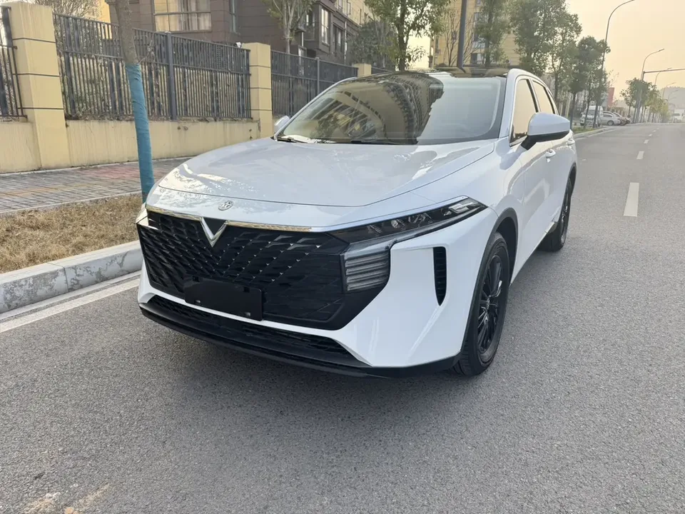 Kai Chen Venucia Big V 2022
