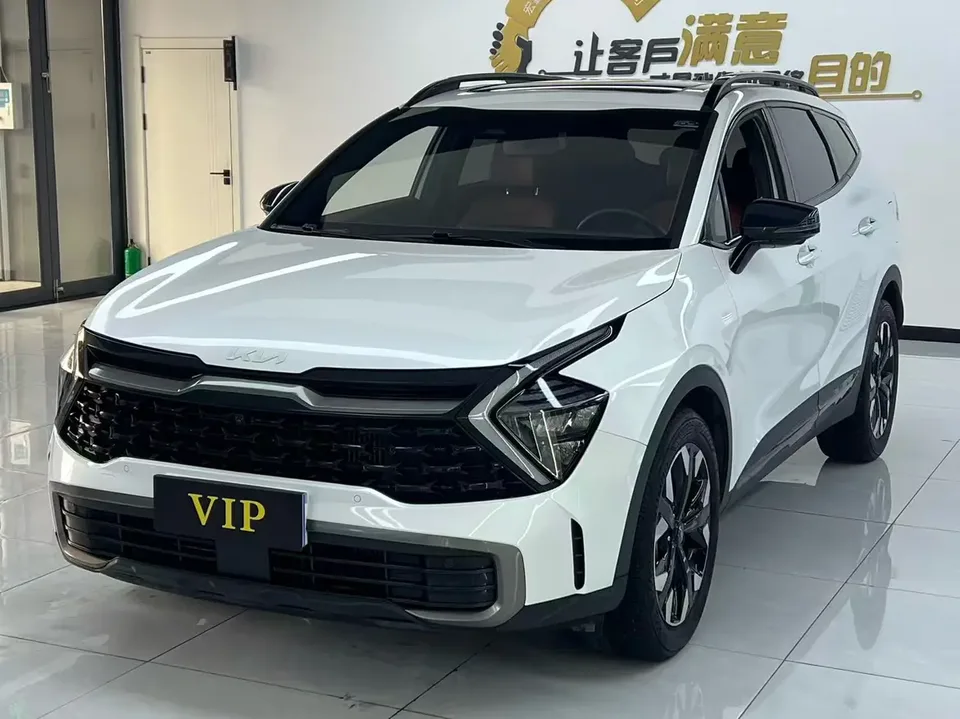 Kia Lion Platinum Expands the Boundary 2022