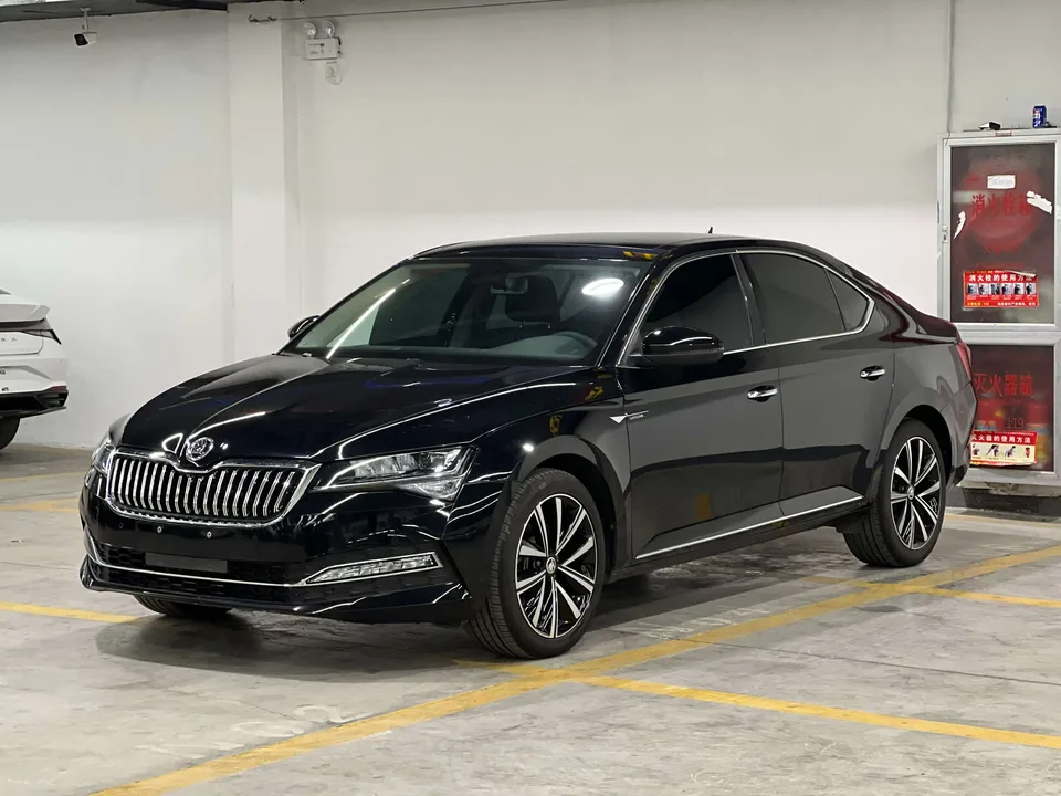 Skoda Speedy 2024