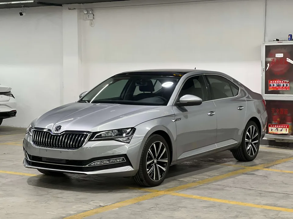 Skoda Speedy 2024