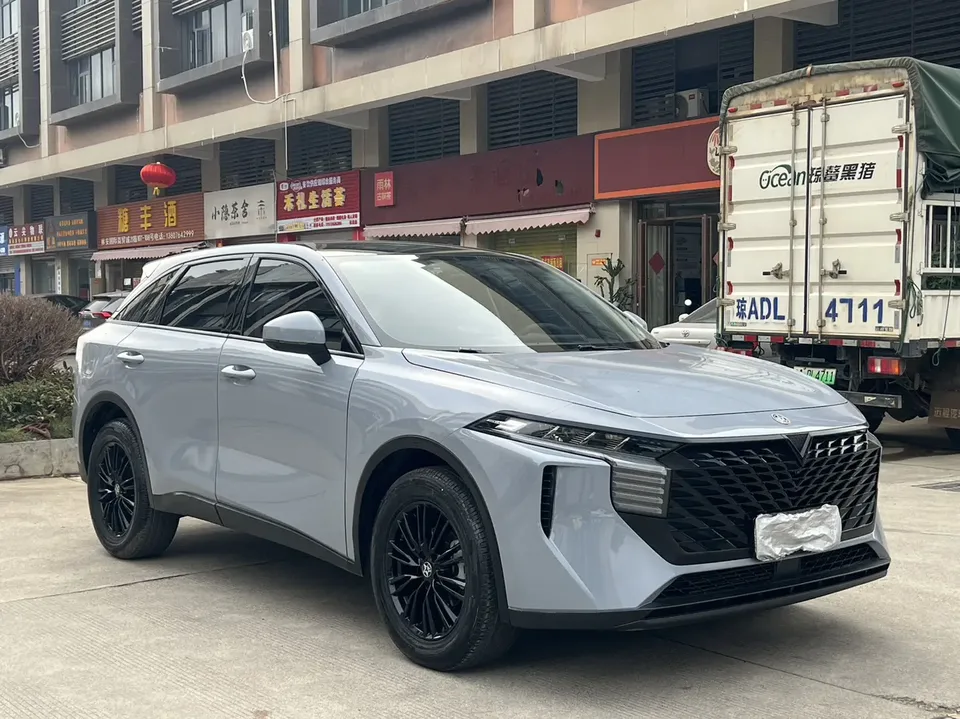 Kai Chen Venucia Big V Venucia Big V 2023 260T Idol Edition Pro 2023 — миниатюра 3