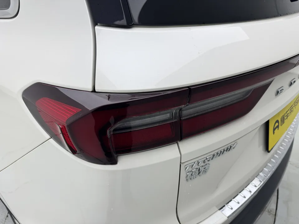 Ford Lingyu EcoBoost 225 6-seater collar type 2023 — миниатюра 4