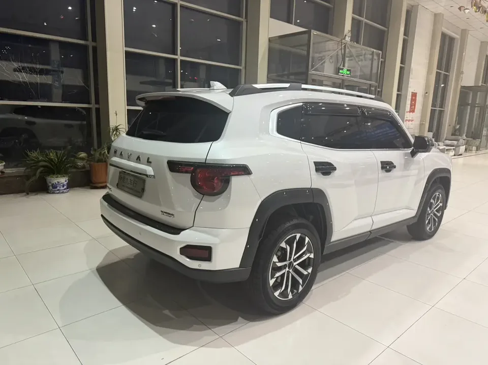 Haval Big Dog PLUS 1.5T 2WD Trendy Wild Edition Plus 2024 — миниатюра 4
