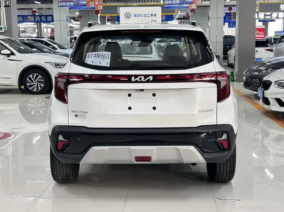 Kia Seltos CYLTUS 1.5L IVT Luxury Edition 2024 — миниатюра 2
