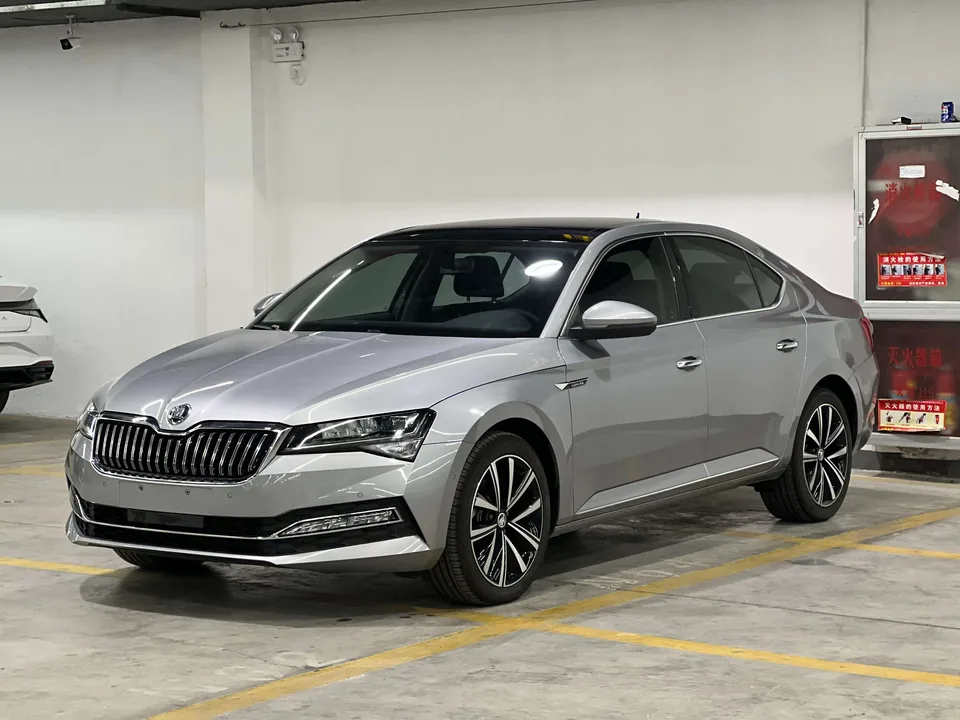 Skoda Speedy 2024