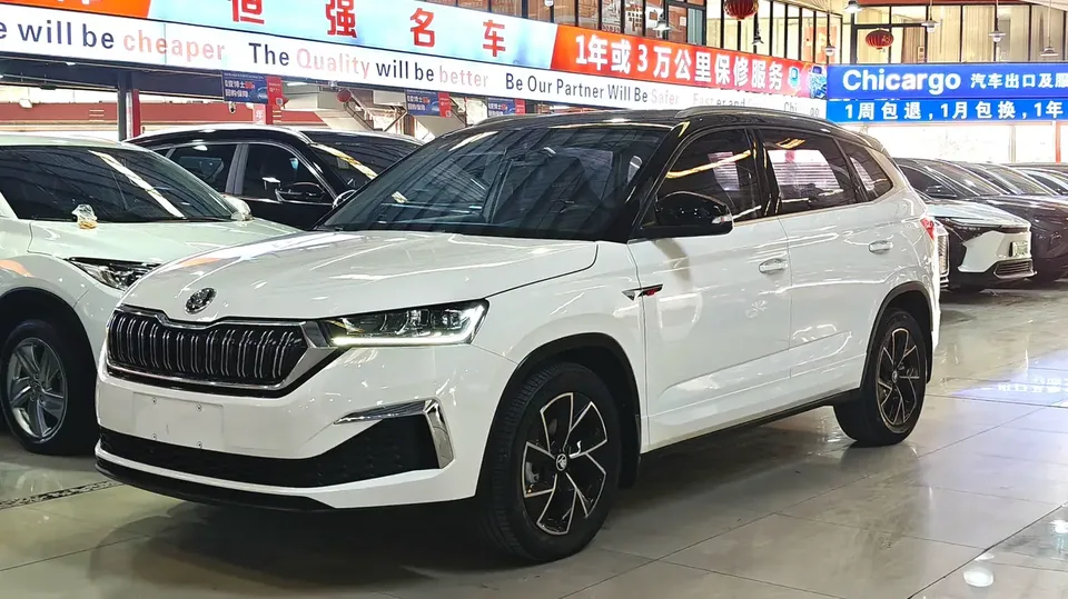 Skoda Kamiq TSI230 DSG flagship version 2022 — фото 1, купить с доставкой в Москву