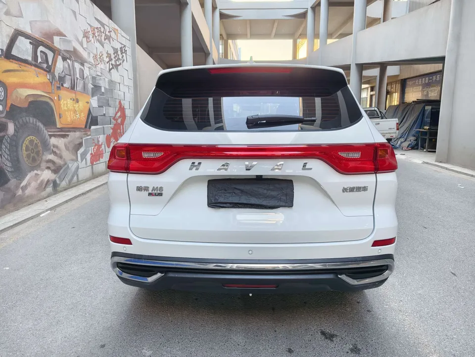 Haval M6 PLUS 1.5T DCT Luxury Smart Connected Edition 2023 — миниатюра 2