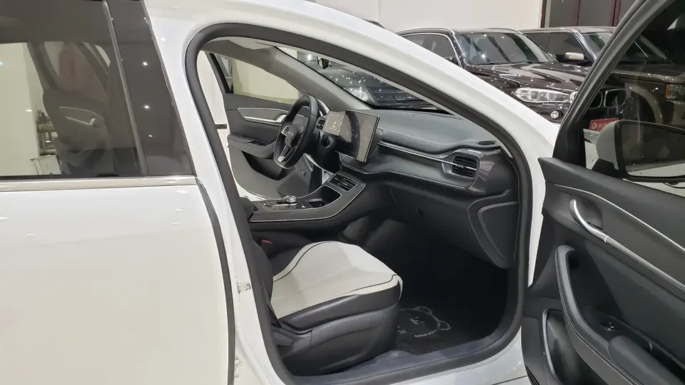 BYD Destroyer 05 DM-i Champion Edition 120KM Premium 2024 — миниатюра 4