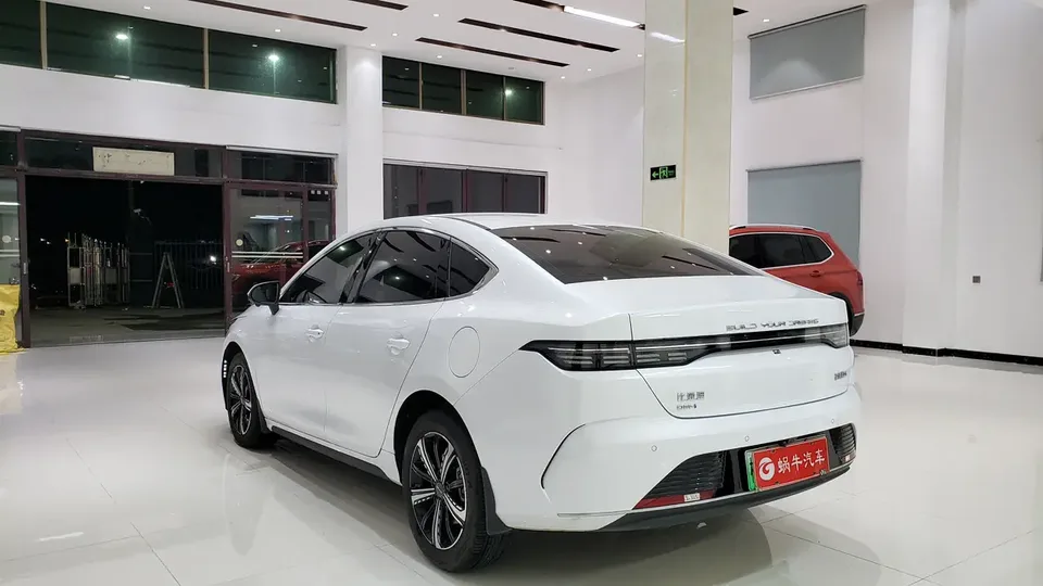 BYD Destroyer 05 DM-i Champion Edition 120KM Premium 2024 — миниатюра 5