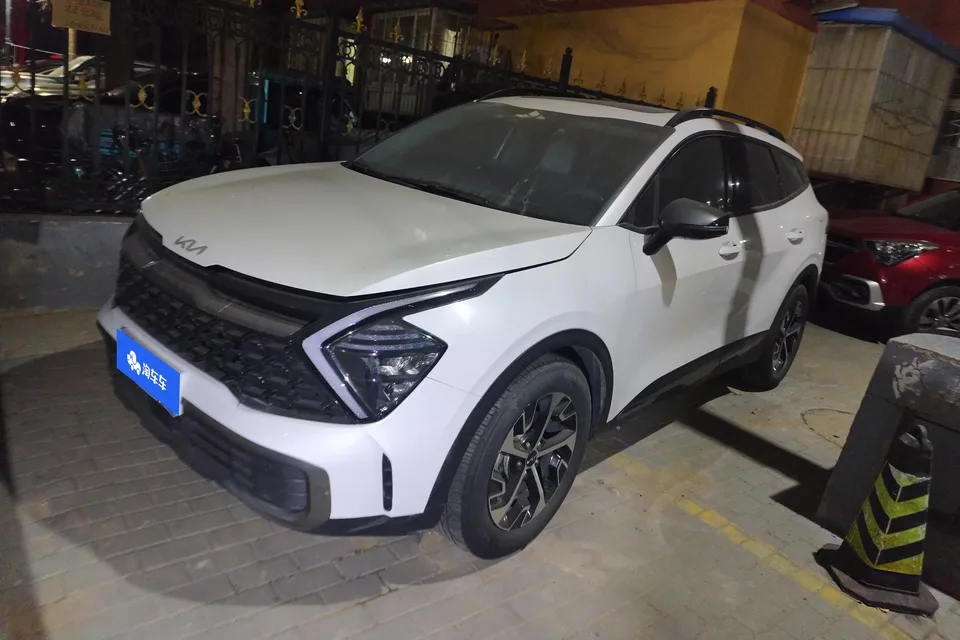 Kia Lion Platinum Expands the Boundary 2023