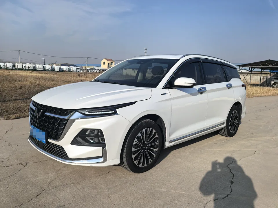 Wuling Capgemini Victory 2024