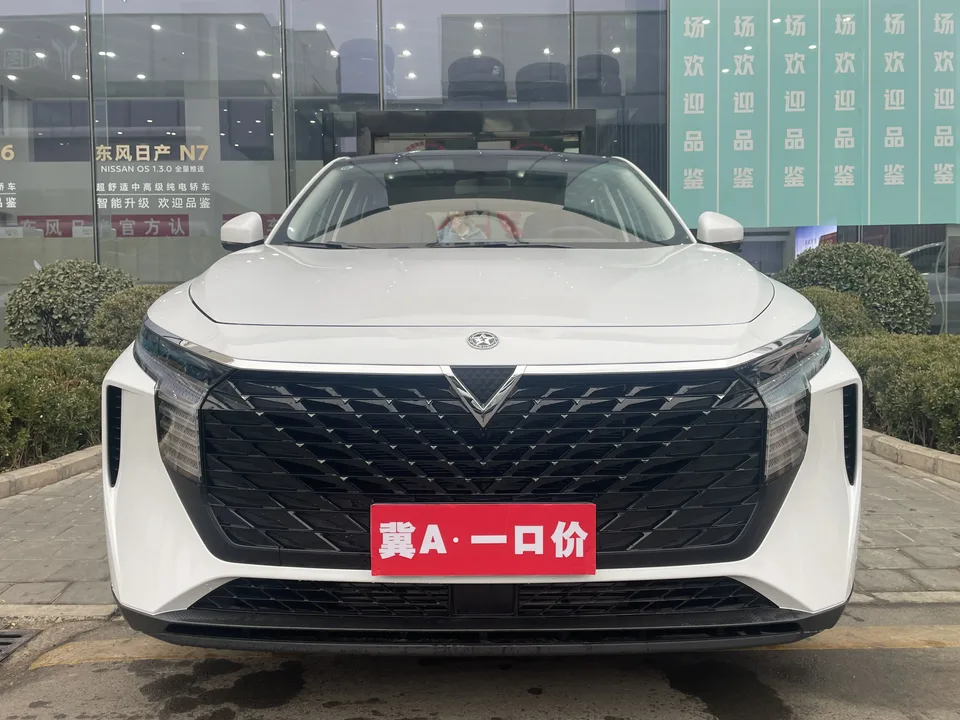 Kai Chen Venucia Big V 2026