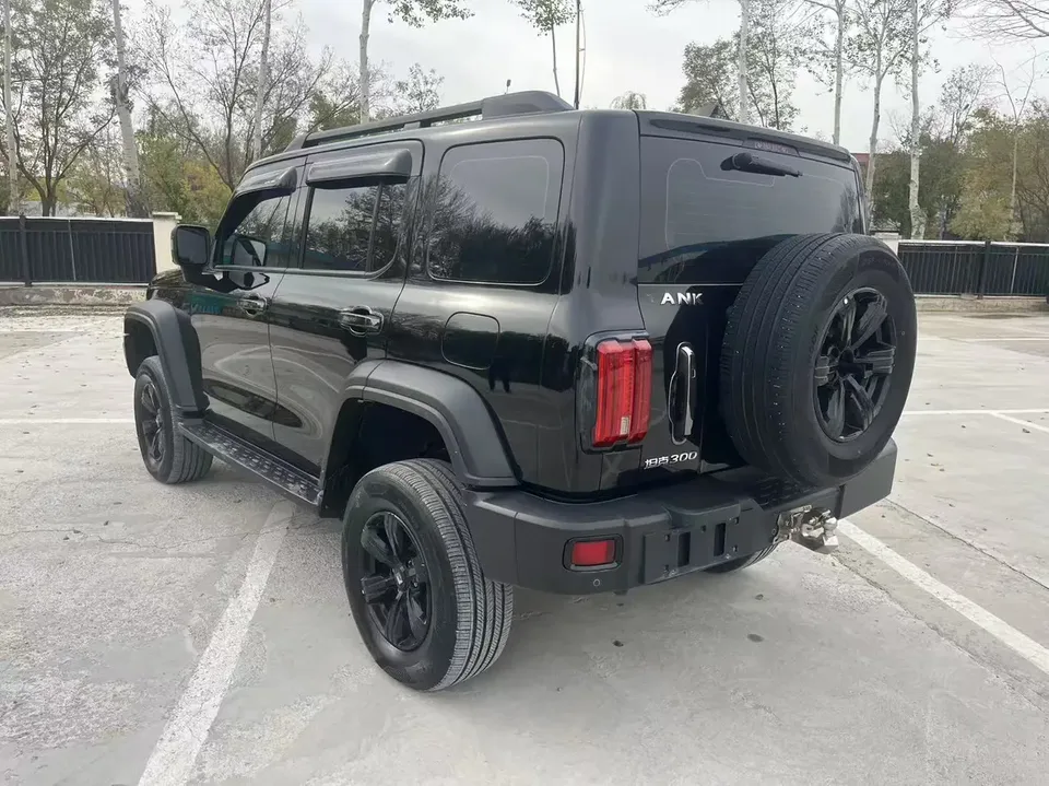 Tank 300 300 2021 Off-Road Edition 2.0T Conqueror 2022 — миниатюра 4