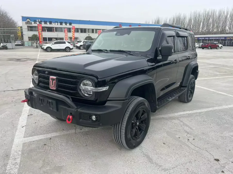 Tank 300 300 2021 Off-Road Edition 2.0T Conqueror 2022 — фото 1, купить с доставкой в Москву