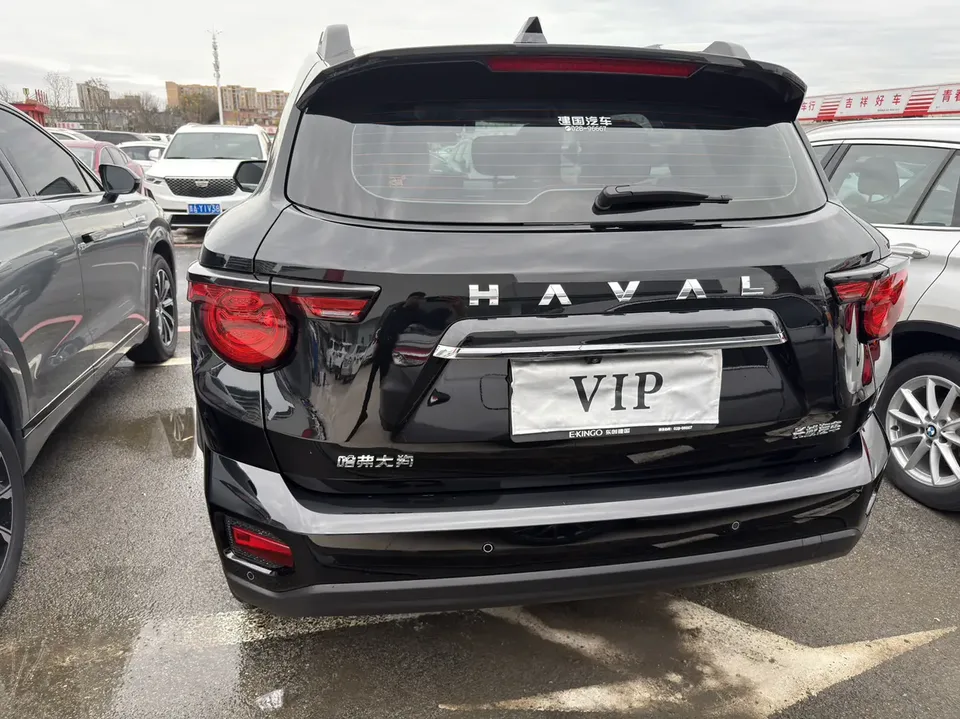 Haval Big Dog PLUS 1.5T 2WD Trendy Wild Edition Plus 2025 — миниатюра 5