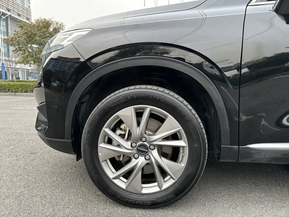 Haval H6 PHEV 1.5T DHT-PHEV 55km Joy Edition 2022 — миниатюра 3