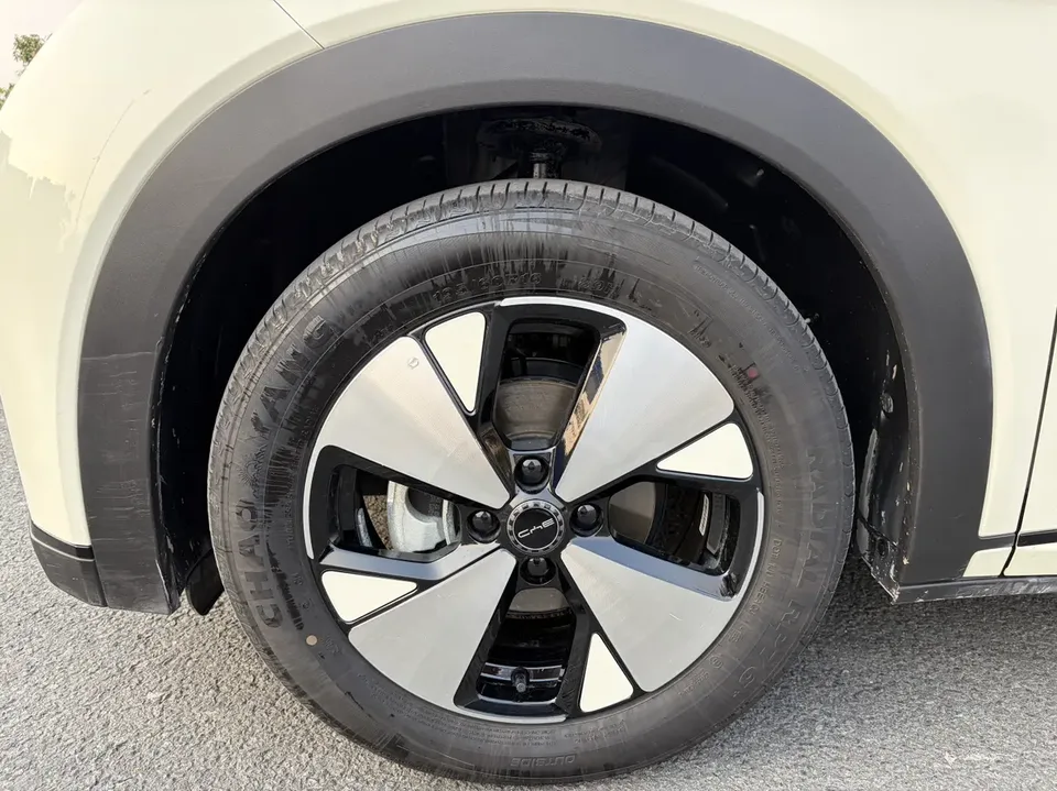BYD Dolphin Dolphin 2023 Fashion Edition 2024 — миниатюра 5
