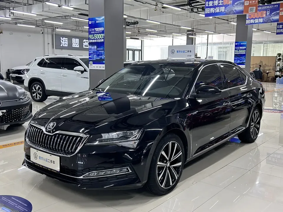 Skoda Speedy 2024