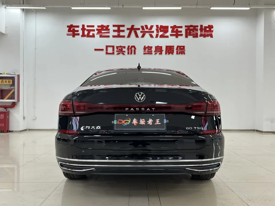 Volkswagen Passat Outstanding Model 380TSI Starry Sky Dragon Edition 2024 — миниатюра 2