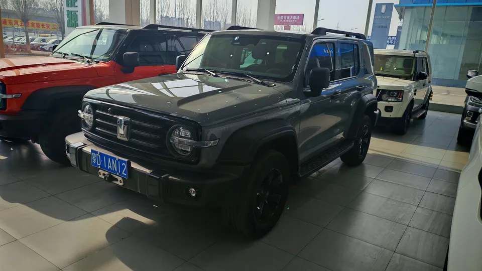 Tank 300 Tank 300 2021 Off-road version 2.0T Conqueror 2022 — photo 1, buy with delivery to Moscow