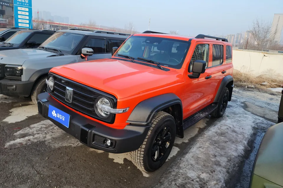 Tank 300 Tank 300 2021 Off-road version 2.0T Conqueror 2022 — photo 1, buy with delivery to Moscow