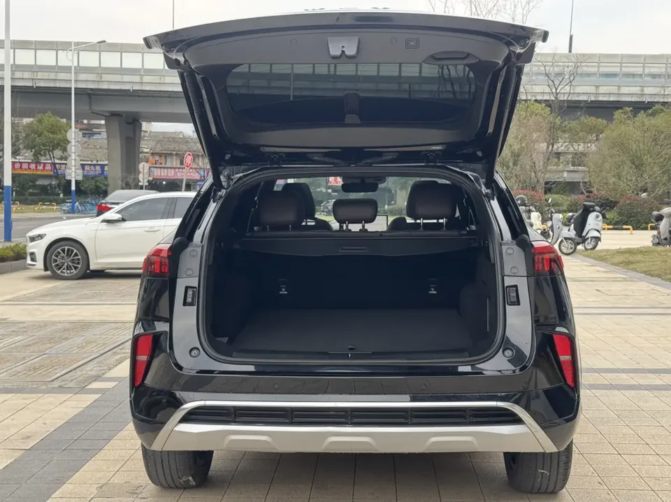 WEY Mocha 2.0T two-wheel drive special version 2022 — миниатюра 4