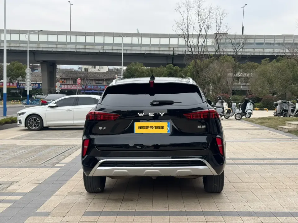 WEY Mocha 2.0T two-wheel drive special version 2022 — миниатюра 5