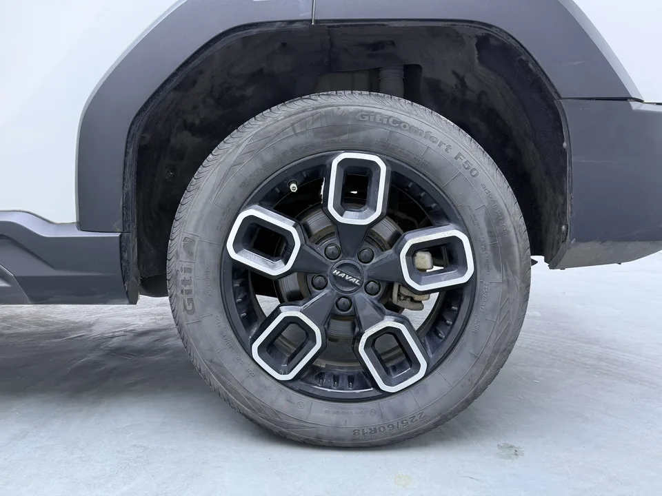 Haval cool dog 1.5T Trendy Edition 2023 — миниатюра 3