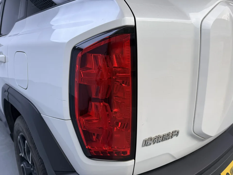 Haval cool dog 1.5T Trendy Edition 2023 — миниатюра 4