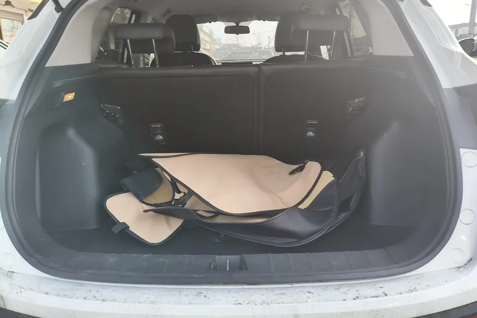 Geely Coolray SX11 Binyue 2024 1.5T DCT Longteng Edition 2025 — миниатюра 5