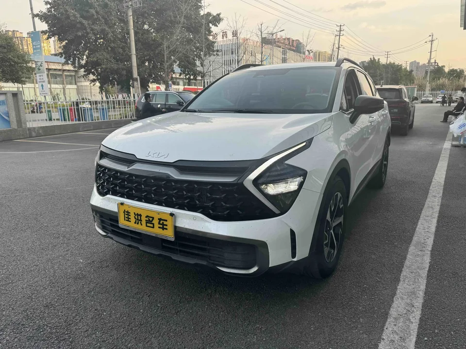 Kia Lion Platinum Expands the Boundary 2024