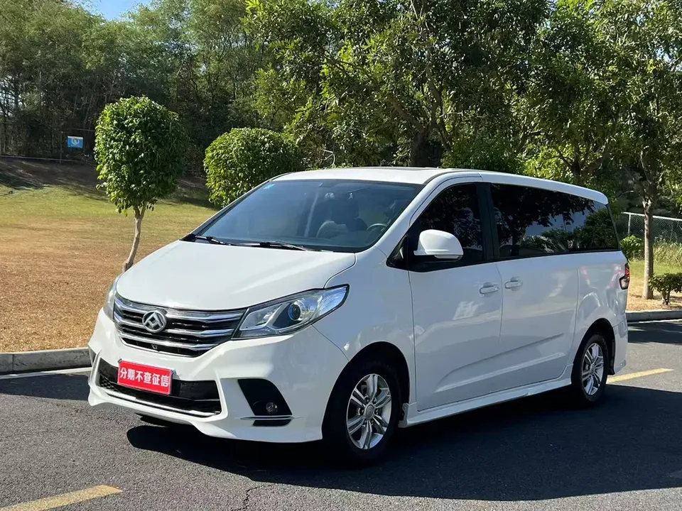 Datong Maxus G10 2022