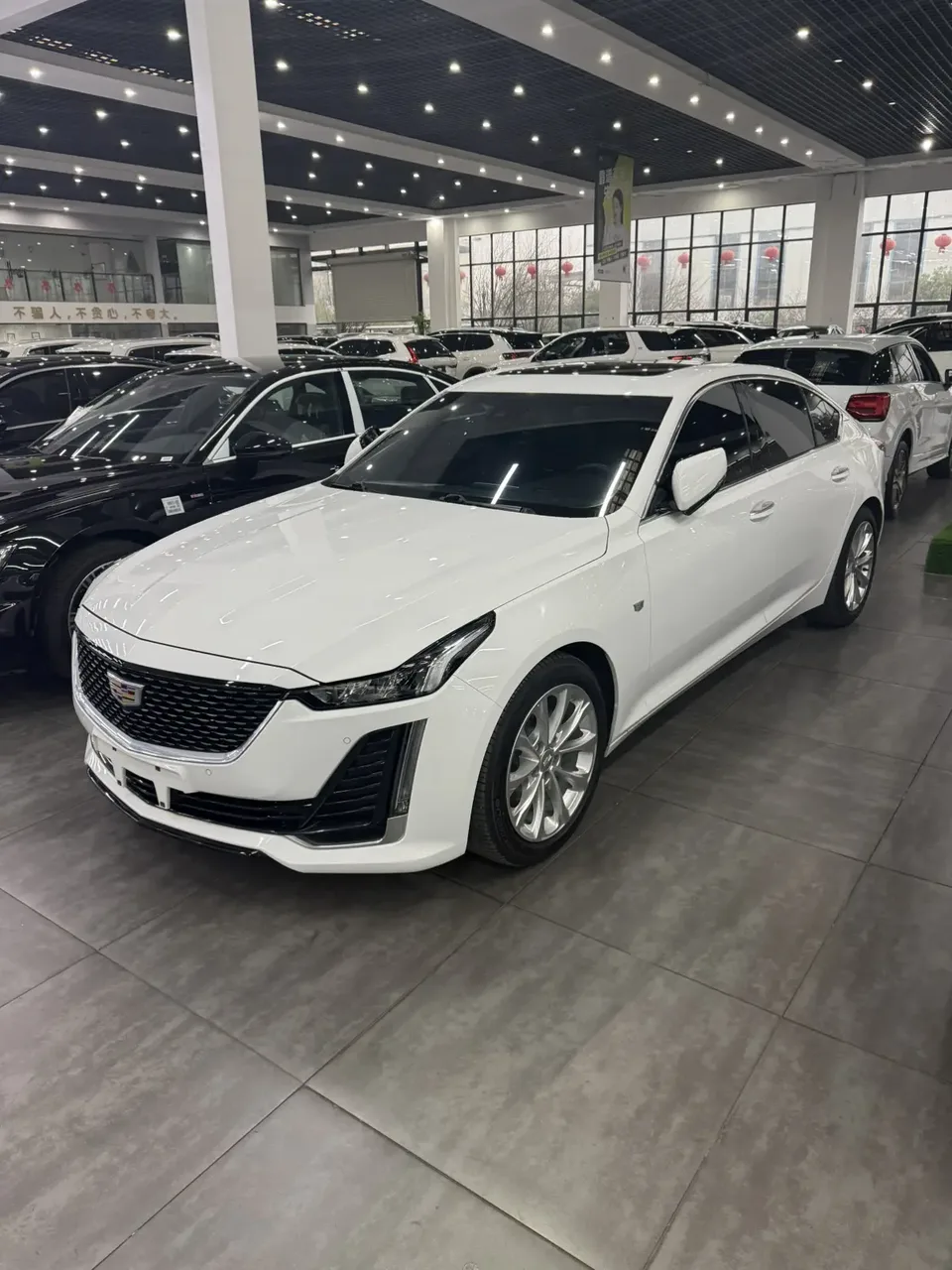 Cadillac CT5 Cadillac CT5 2022 28T Luxury Edition 2023 — фото 1, купить с доставкой в Москву