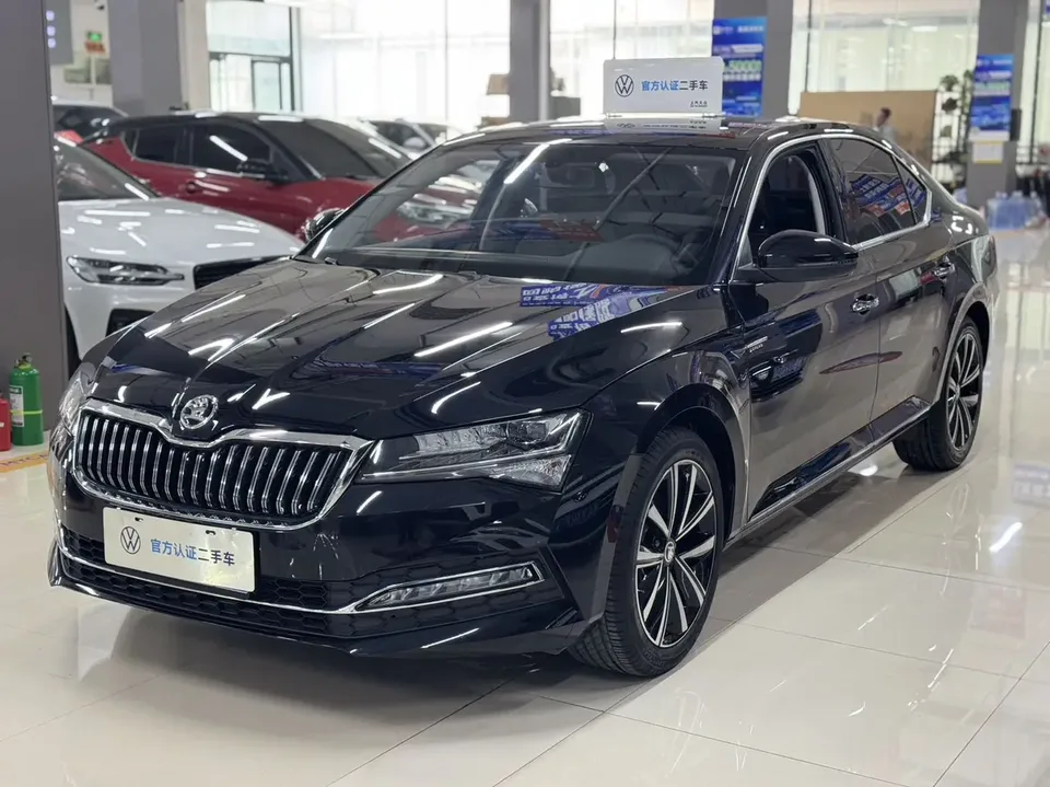Skoda Speedy 2024