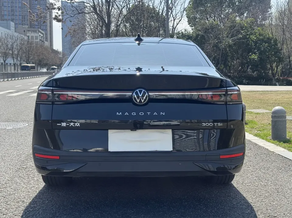 Volkswagen Magotan 300TSI Premium Edition 2025 — миниатюра 5