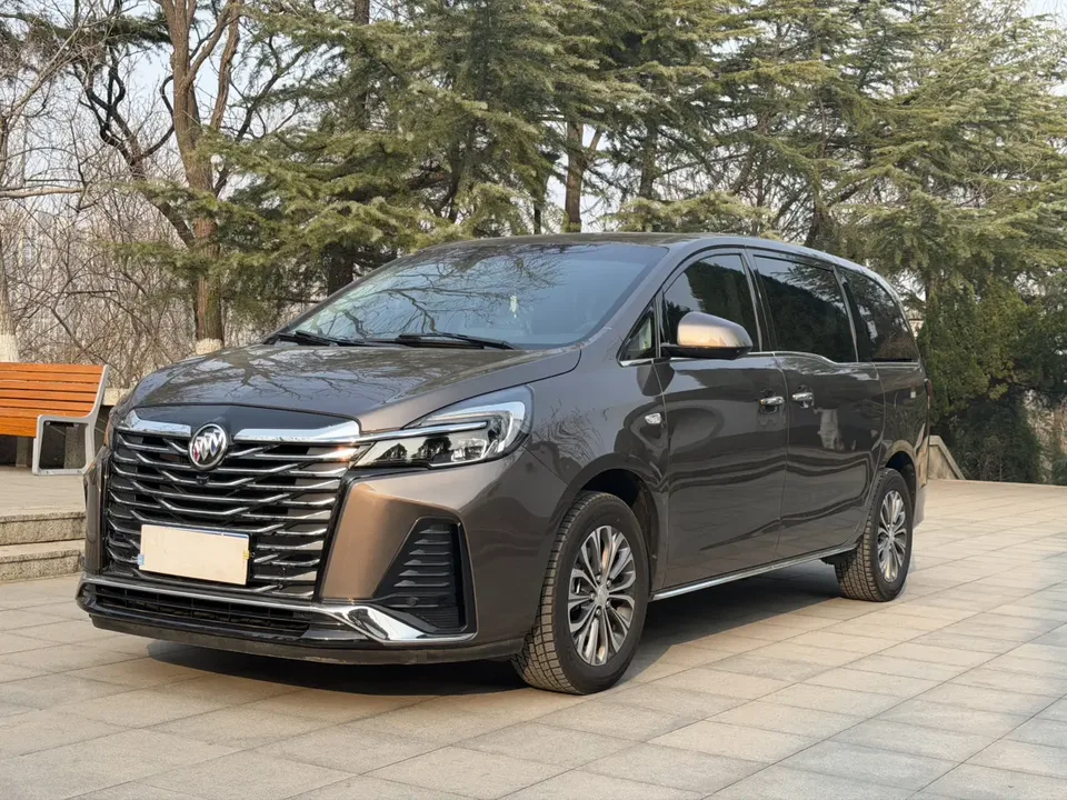 Buick GL8 GL8 2023 Land Business Class 2.0T Luxury Edition 2022 — photo 1, buy with delivery to Moscow