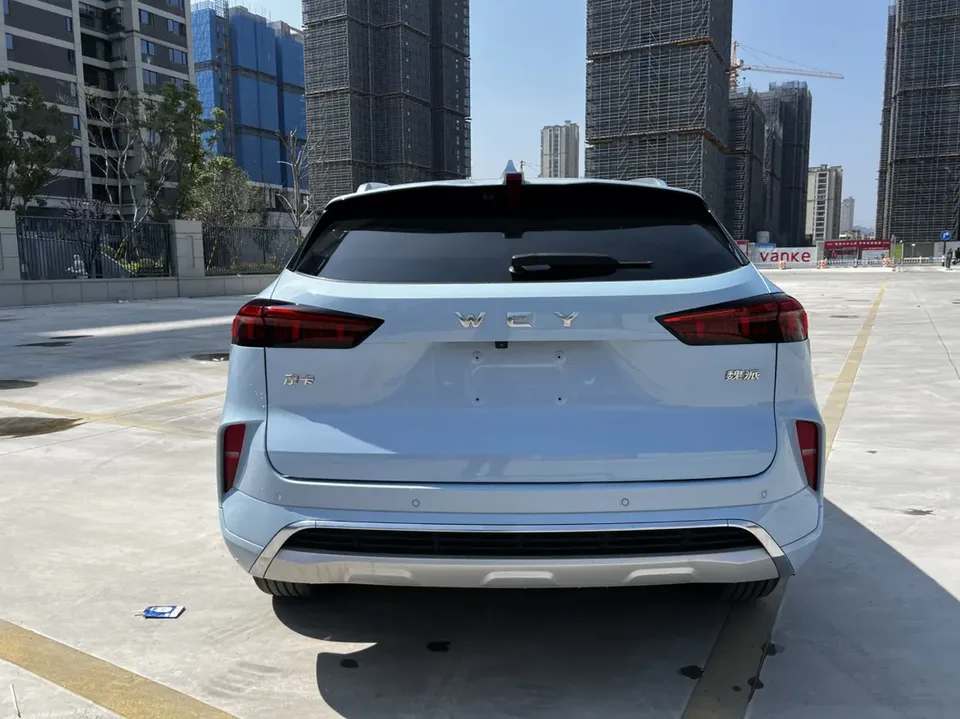 WEY Mocha 2.0T two-wheel drive special edition 2022 — миниатюра 2