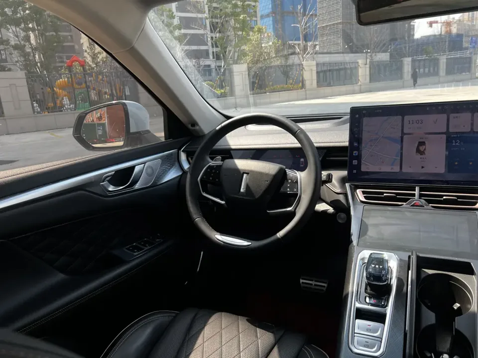 WEY Mocha 2.0T two-wheel drive special edition 2022 — миниатюра 3