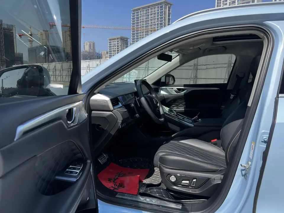 WEY Mocha 2.0T two-wheel drive special edition 2022 — миниатюра 4
