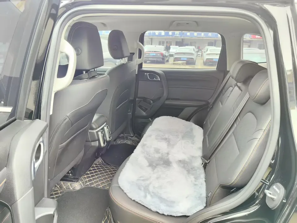 Haval Dargo Haval Big Dog 2024 1.5T 2WD Border Collie Edition 2023 — миниатюра 4