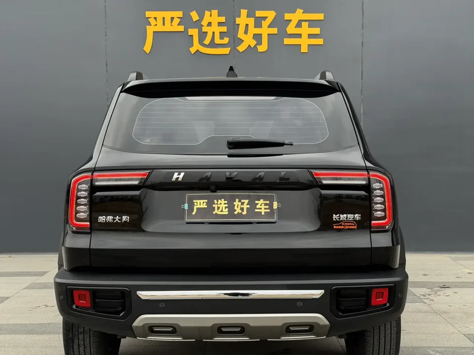 Haval Dargo 2.0T 2WD Chinese Hound Edition 2023 — миниатюра 2