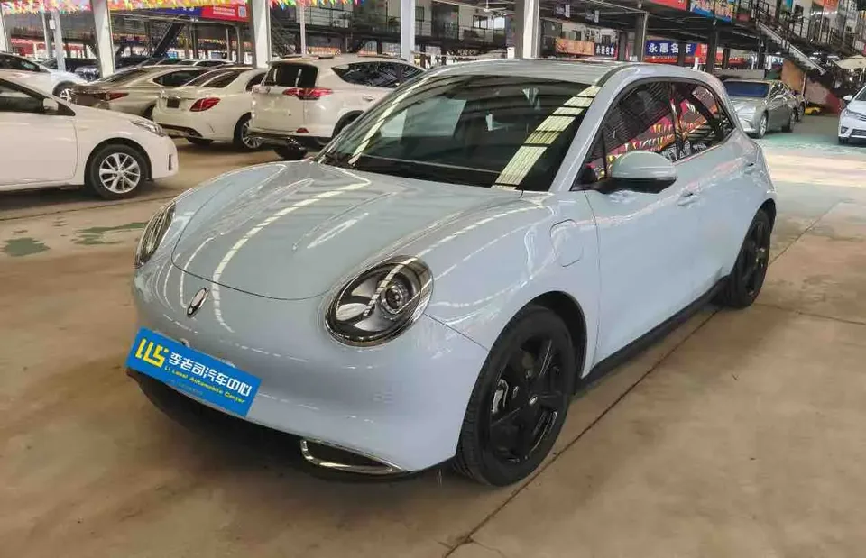 ORA Euler good cat 501km long-range luxury ternary lithium 2024 — фото 1, купить с доставкой в Москву
