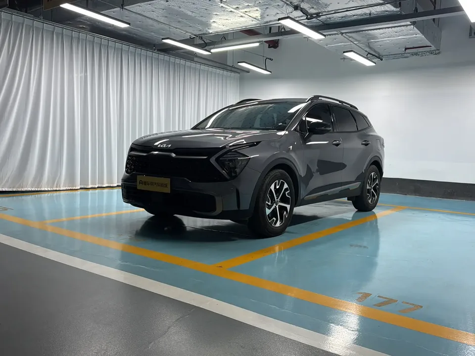 Kia Lion Platinum Expands the Boundary 2024