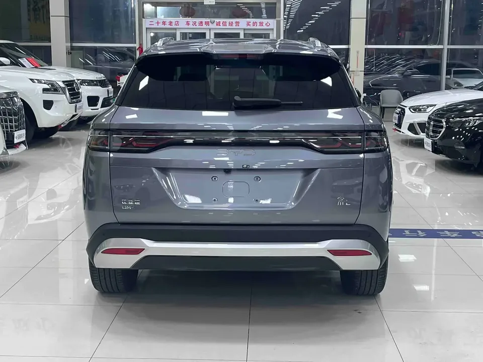 BYD Song L DM DM-i 112KM Leading Model 2025 — миниатюра 4