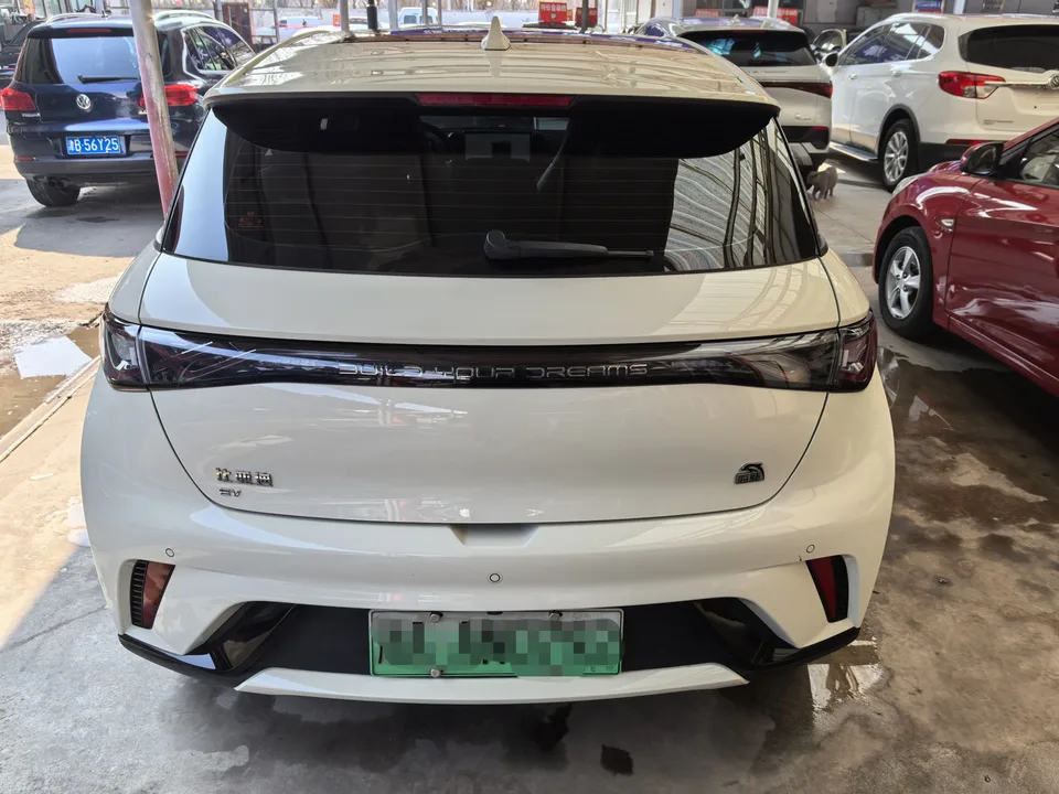 BYD Dolphin Dolphin 2023 Fashion Edition 2023 — миниатюра 5